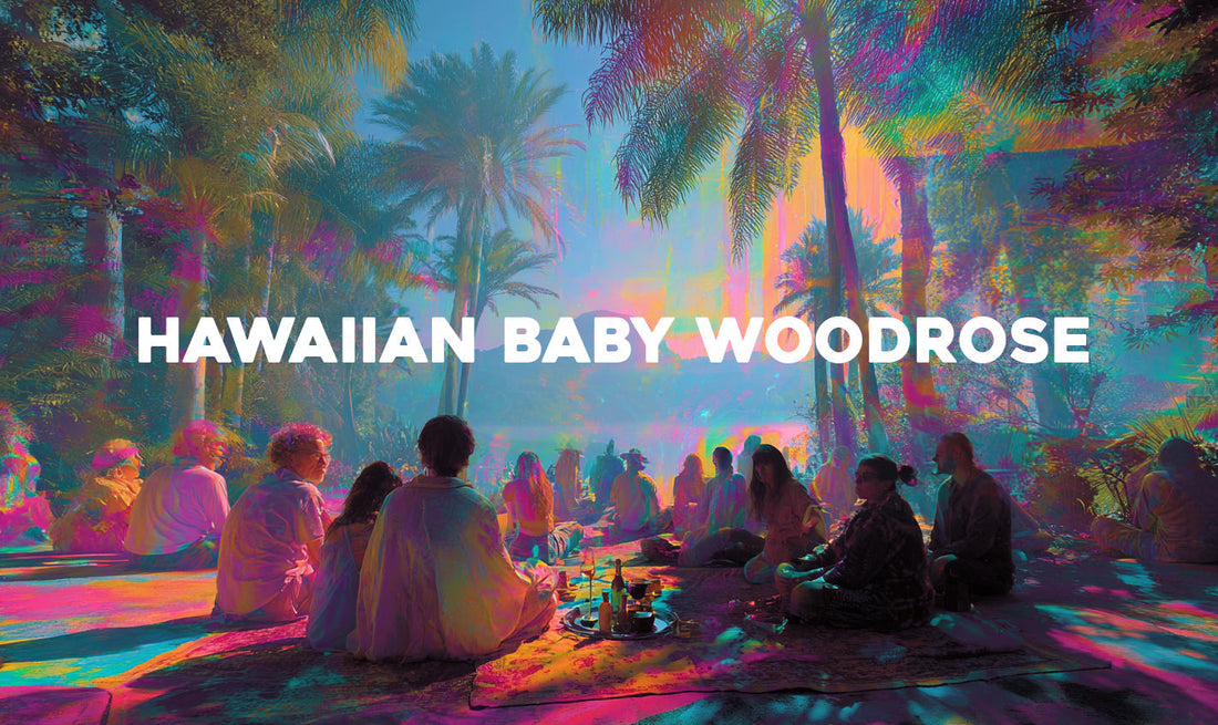 Hawaiian Baby Woodrose : la liane psychédélique qui cache bien son jeu