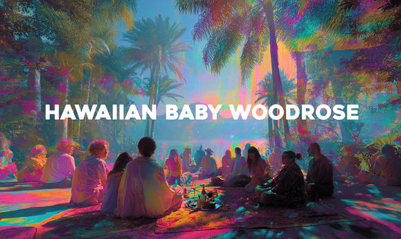 Hawaiian Baby Woodrose : la liane psychédélique qui cache bien son jeu