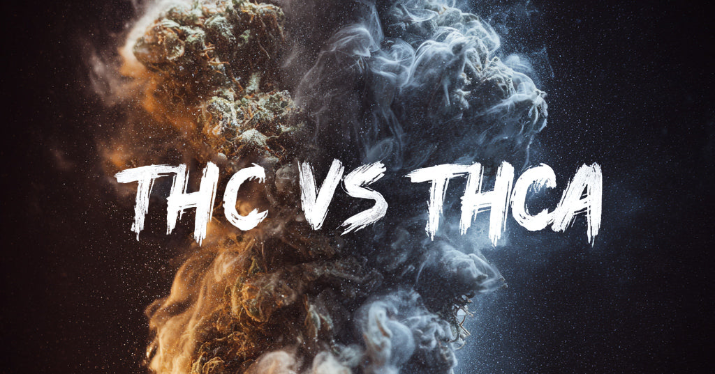 THCA vs THC : expliqué simplement