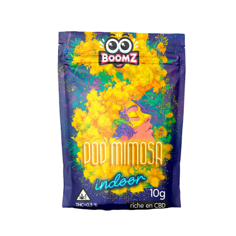 Fleurs-CBD-Delta-9-BOOMZ-Mimosa
